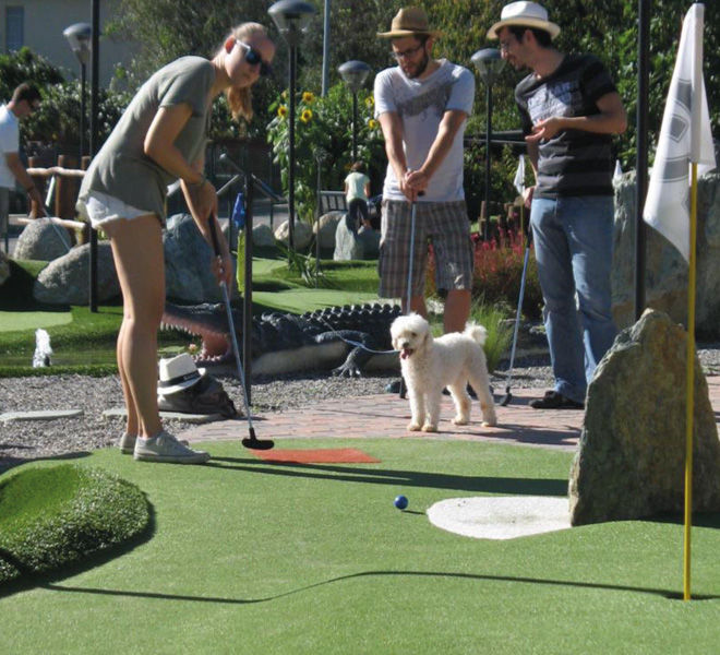 Golf_adventure_allestimento_fornitura_1
